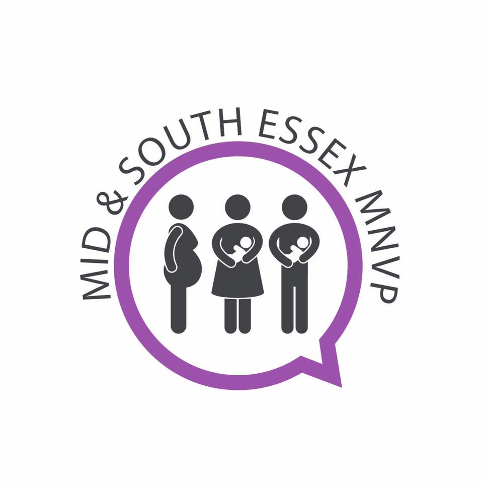 MSE MNVP Logo
