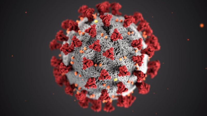 Visualisation of the Covid-19 virus