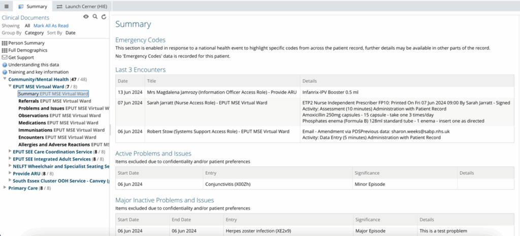 Screenshot showing the content displayed when the summary subfolder is selected in the clinical document viewer, presenting patient summary information in a structured format.