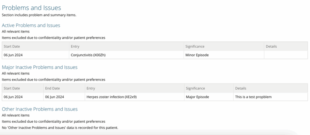 Screenshot of the problems and issues subfolder displaying a list of patient problems, diagnoses, and clinical issues in an organized table or list format.