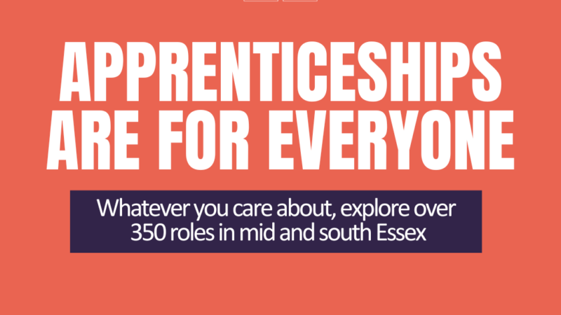 quote_apprenticeship 3