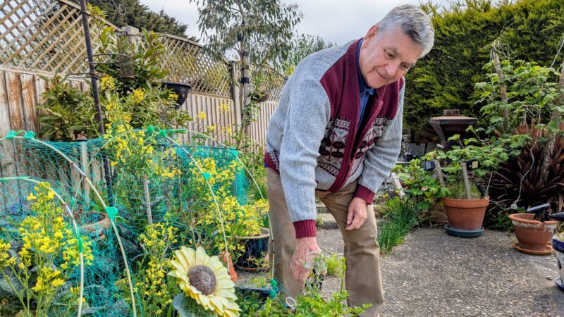 David cutting some herbs from his garden
