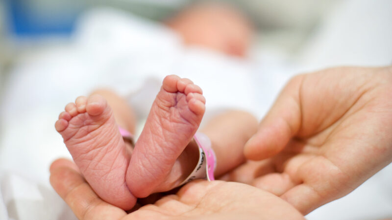 The picture was taken from newborn to obstetrics and gynecology