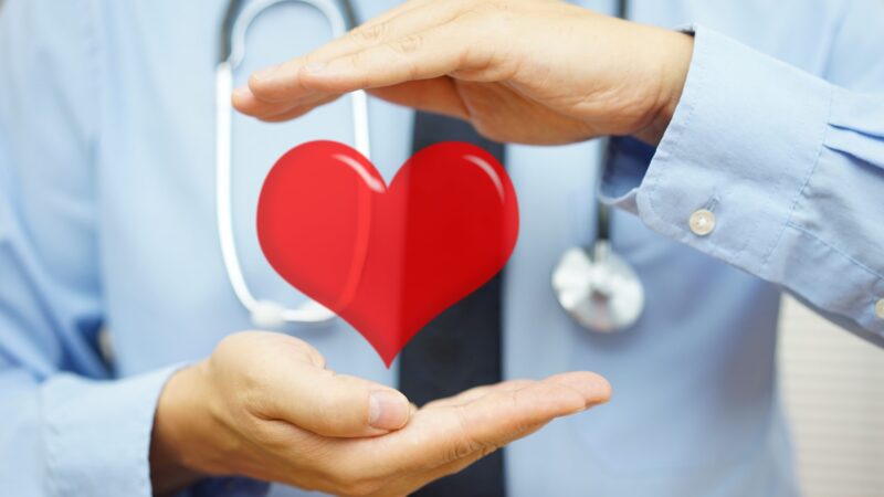 Doctor,Is,Protecting,Heart,With,Hands.,Health,Care,And,Cardiovascular